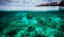 享受生命中的寒风