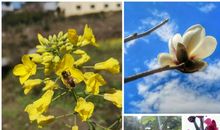 物之所处，心之所属