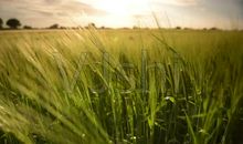 让信任的光辉洒满大地