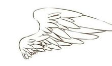 用独立的翅膀飞向远方