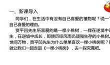 一棵小桃树读后感