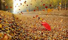 流逝在岁月里的温馨