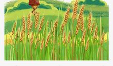 拯救稻子——《稻草人》续写