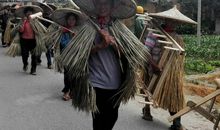 人类离不开思想