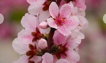 我最快乐的时候