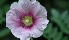 一生定要美丽一次