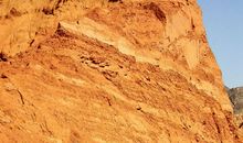 亲情，妙不可言