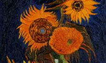 追寻别样的收获