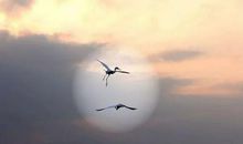 遇见时光里的青铜