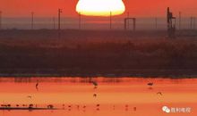 云中那一抹红色