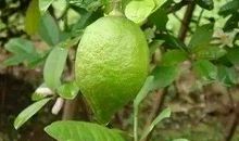 幸福连南，文明家园