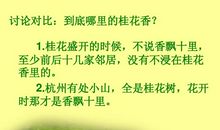 《桂花雨》的故事——读曹文轩《桂花雨》有感