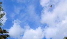 读《穿越天空的心灵》有感