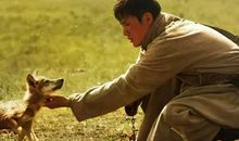 草原狼，草原人——我读《狼图腾》有感