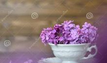 葡萄枝中的母爱