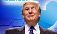 都是哈欠惹的祸