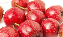 我爱家乡的山楂果