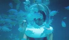 小鱼奔向大海读后感