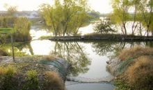 江南流水的童年