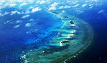 读《美丽的西沙群岛》有感