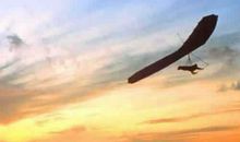 我心飞翔议论文作文