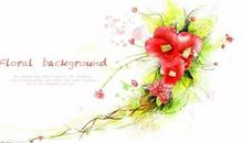 我在乎那些绽放的笑容