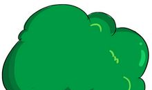 由植树所想到的