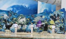 游深圳小梅沙海洋馆