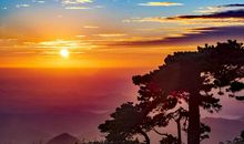 读书，让我遇见更好的风景