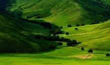 我想拥有一片蓝天