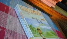 读《能闻出孩子味的乌龟》有感