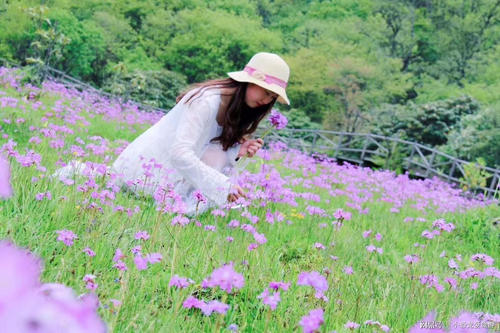 季节绽放