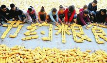 珍惜粮食杜绝浪费