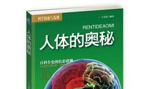 我的发现水的奥秘