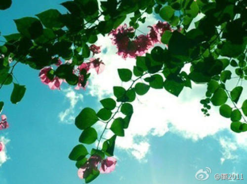 听到心脏