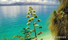 慢亦是人生的风景