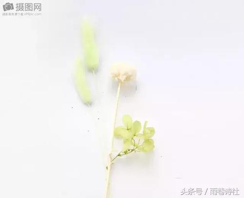 那个时候我读了母亲。