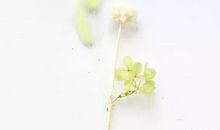 那一次我读懂了母爱