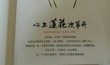 开在心上的莲花