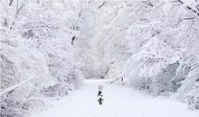 素雪飘飞的季节