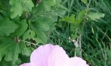 因为你我幸福着