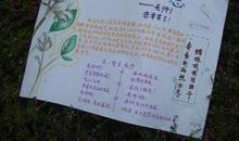 感谢您，我心中的好老师演讲稿