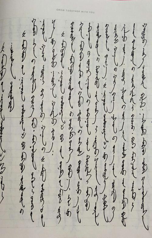 智慧进展阶梯