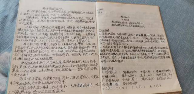 我的城市，我的地铁组成