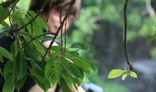 发现久违了的童心