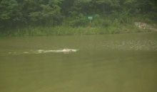 紫荆山的小池塘