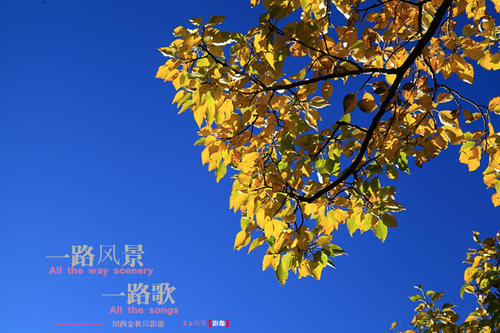 一路走来