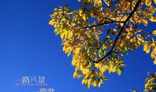 一路歌，一路景