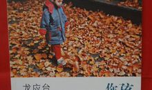 慢慢来——读《孩子你慢慢来》有感