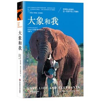 触摸和反思